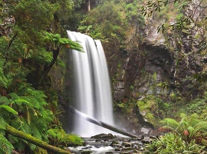 Wilderness Getaway at Aire River in the Otways