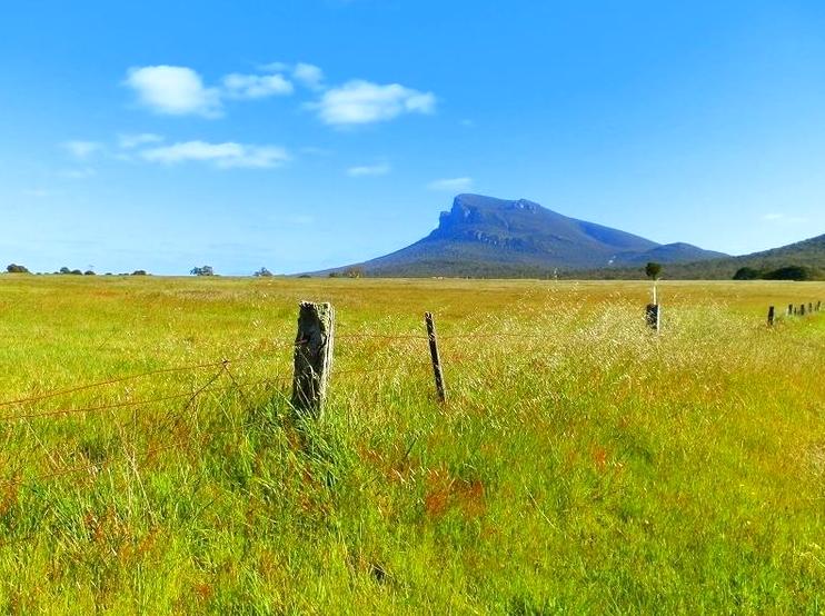 Journey to the Apex of Mount Abrupt