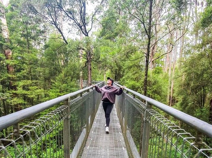 Discover the Canopy with Otway Fly Treetop Adventures